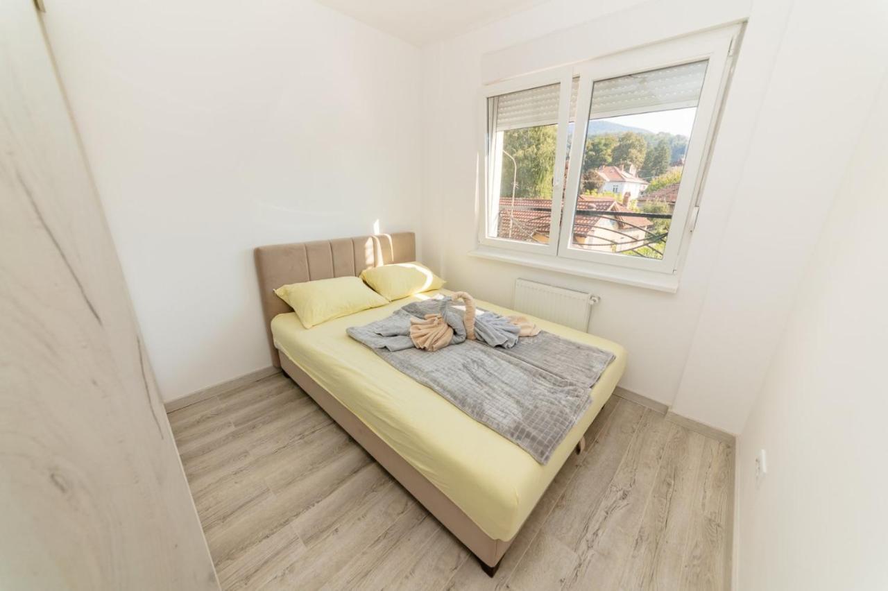 Apartman Jovana Banja Koviljaca Exterior photo